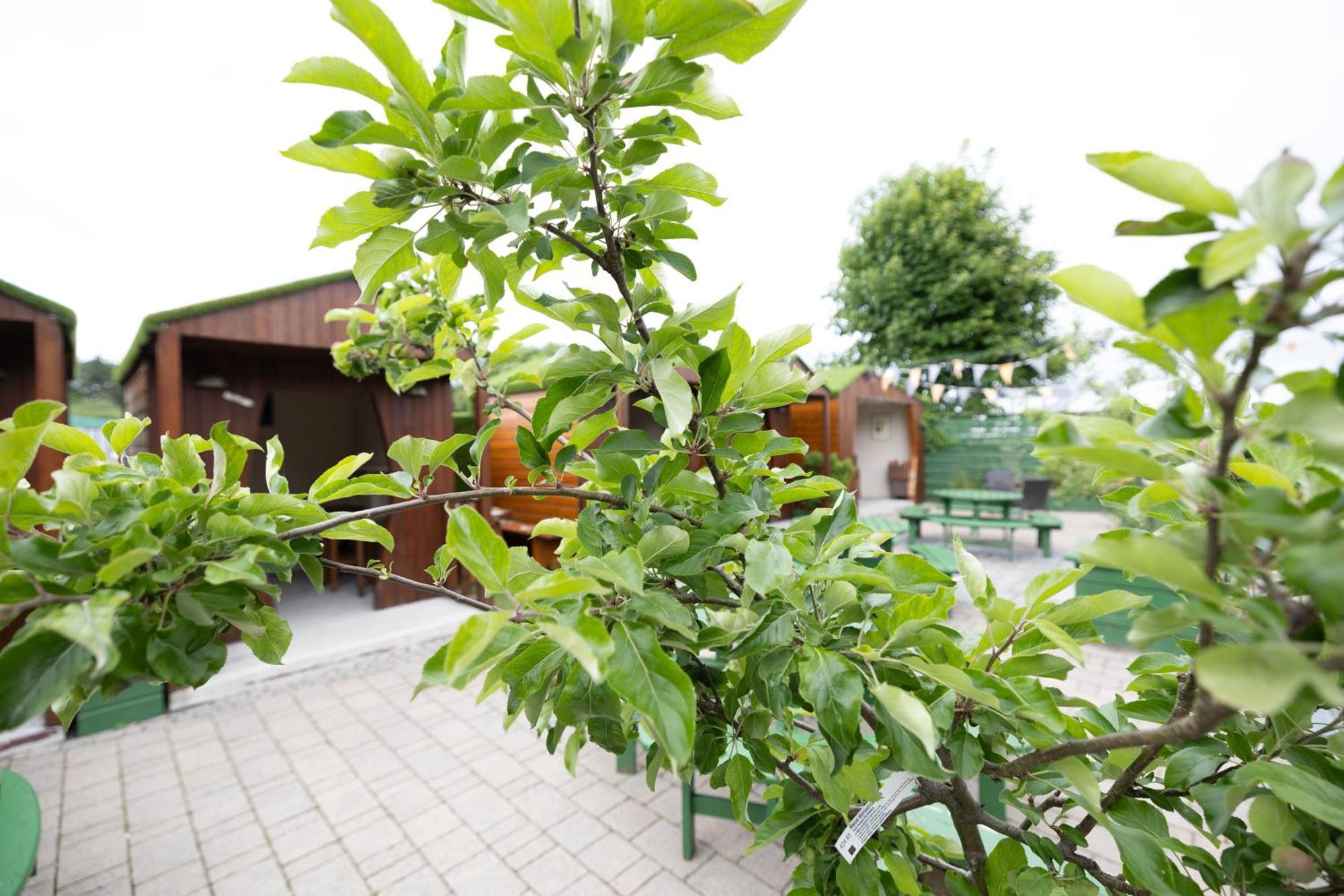 The Orchard House Ξενοδοχείο Κίλκενι Εξωτερικό φωτογραφία